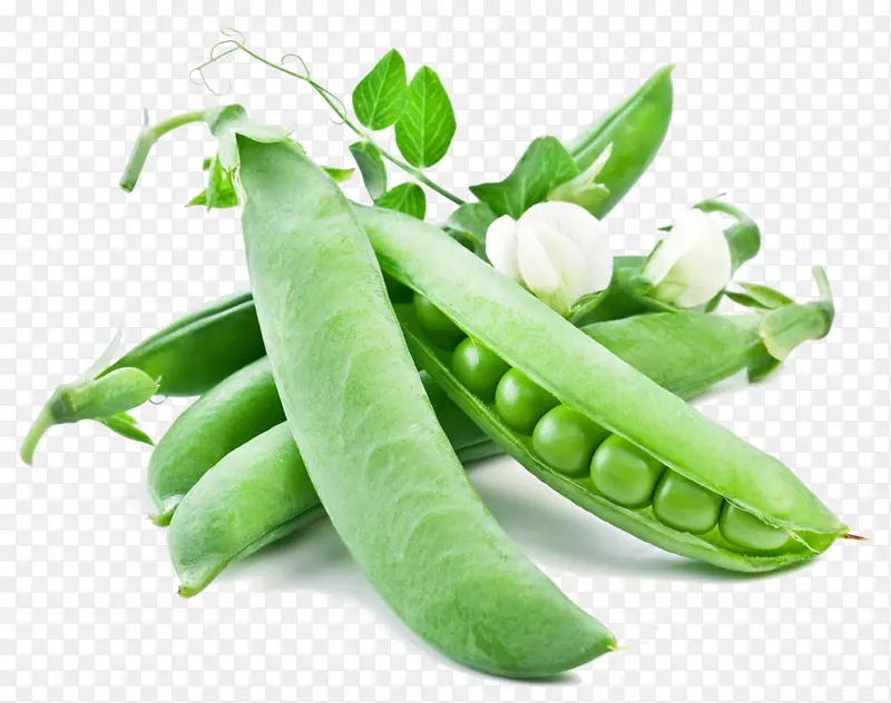 雪豌豆、蔬菜、豌豆、蛋白质-豌豆