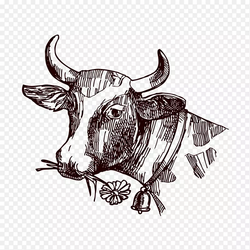得克萨斯州长角牛乳素描-创意牛