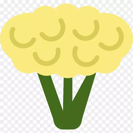 花椰菜素食烹饪有机食品图标-花椰菜