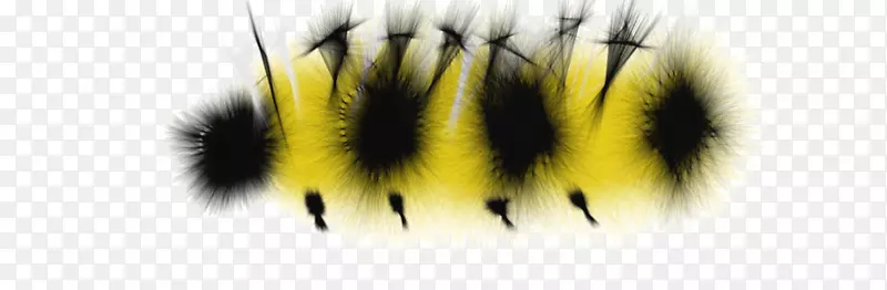 蝴蝶毛虫-毛虫透明PNG