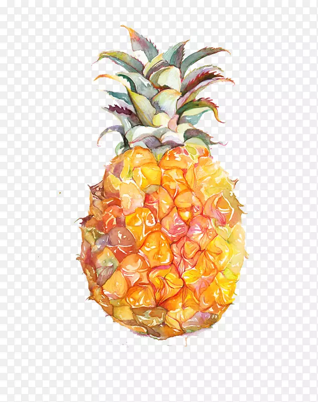 果汁水彩画菠萝黄色简单水彩菠萝
