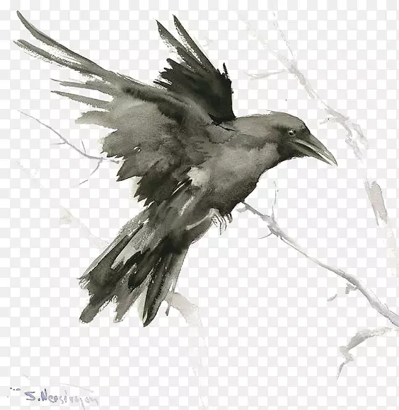乌鸦纹画艺术-乌鸦