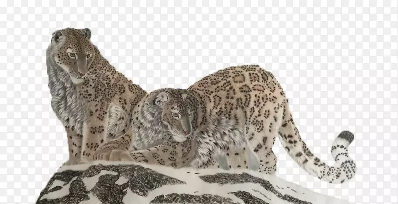 雪豹猎豹猫-山顶上的两只猫