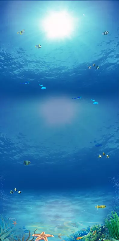 海鱼蓝海