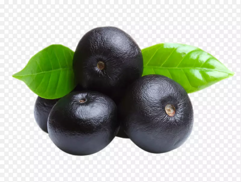 果汁水果椰子树膳食补充剂-新鲜黑莓