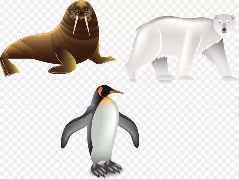 企鹅插图-PNG企鹅海象元素
