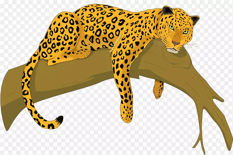 猎豹、银豹、猫科动物、剪贴画-豹