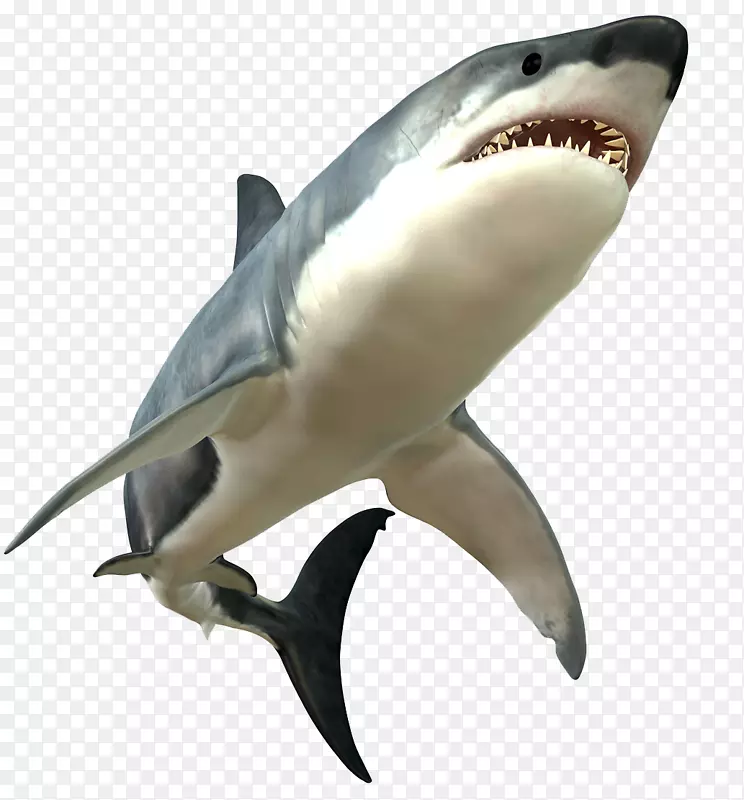 大白鲨-暴怒的大白鲨