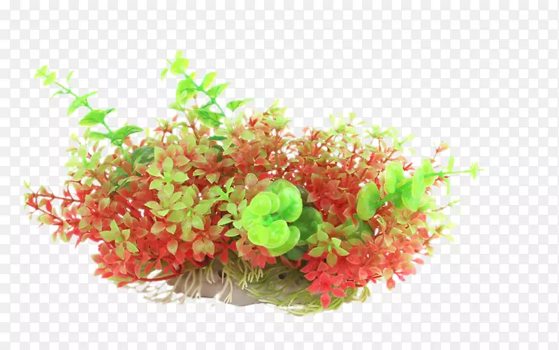 水族馆金鱼和热带鱼图标-红、绿、紫植物展望草模拟