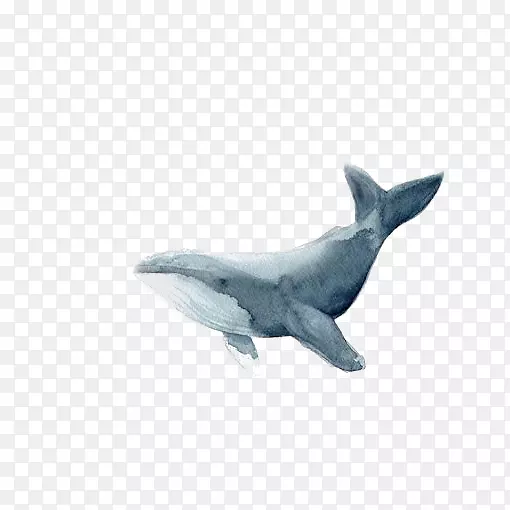 蓝鲸水彩画插图水彩画鲸鱼