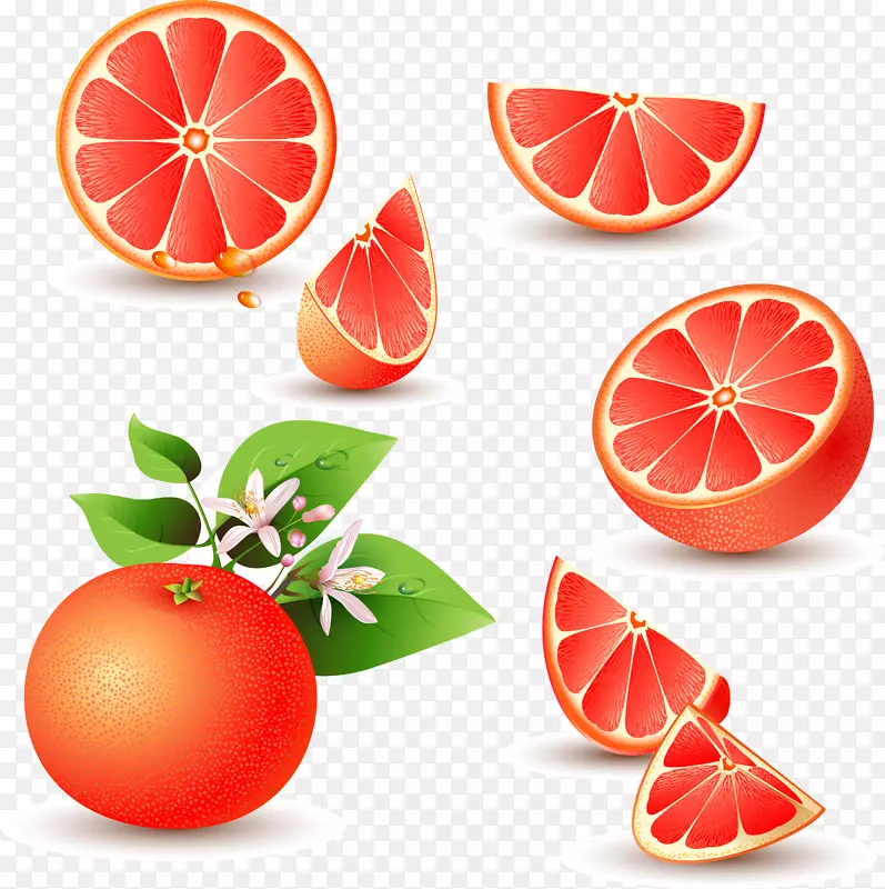 柚子汁柚子橙红葡萄柚载体材料