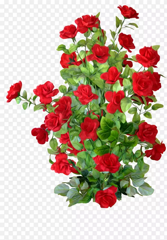 花园玫瑰，蜈蚣，玫瑰，花卉，可伸缩图形.红玫瑰灌木丛