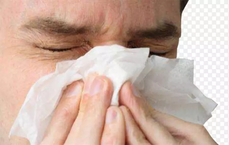 甲型流感病毒亚型H1N1 2009流感大流行流感病毒H3N2亚型猪流感-覆盖你的鼻子图片