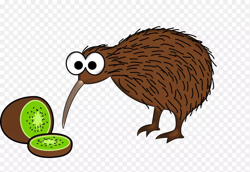 新西兰鸟动画剪贴画-猕猴桃鸟
