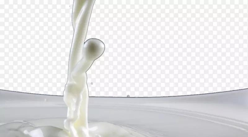 白角酸奶