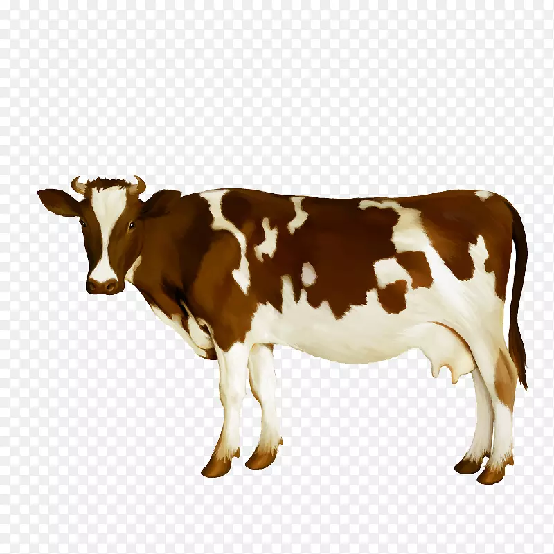 奶牛奶牛犊水彩牛载体