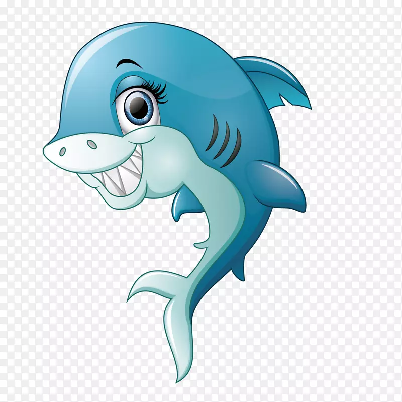 鲨鱼微笑-微笑的鲨鱼