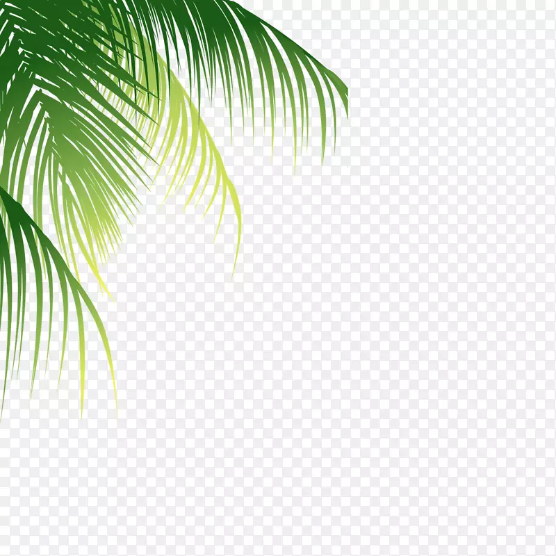 椰子-棕榈图案