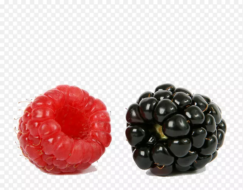 波斯科黑莓覆盆子黑莓水果