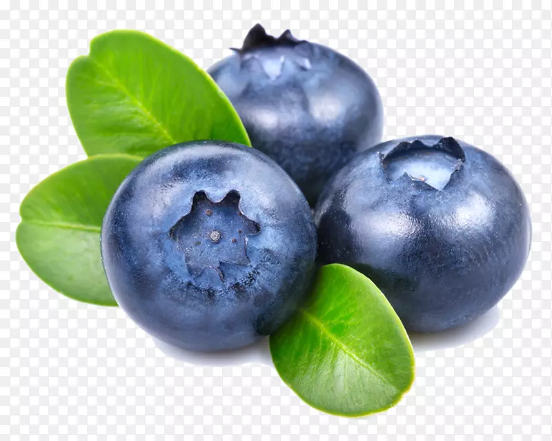 蓝莓-蓝莓