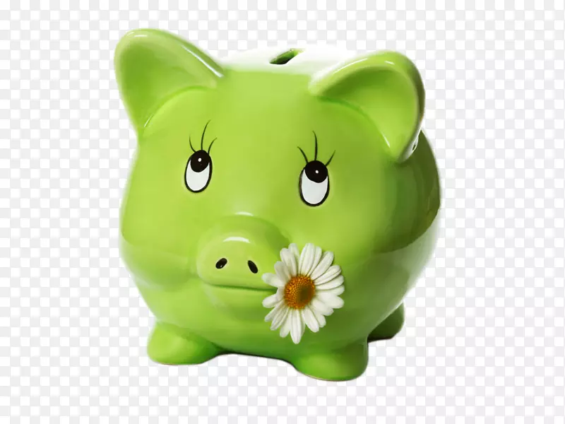 储蓄罐储蓄账户绿色可爱的猪储蓄罐