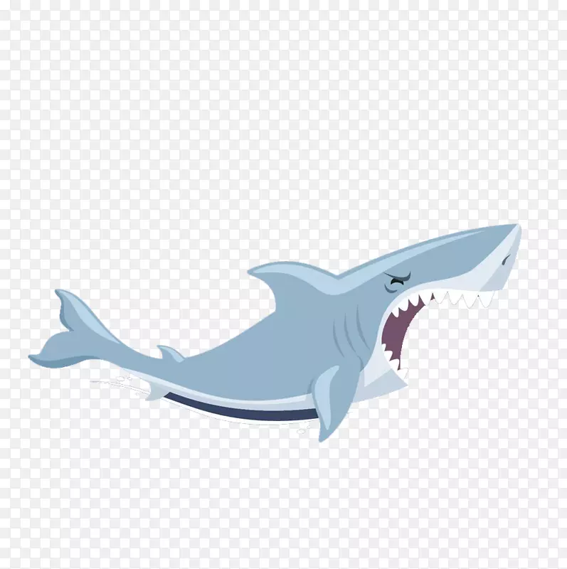 鲨鱼插图-鲨鱼