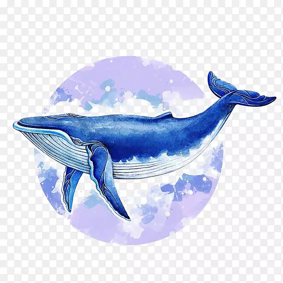 蓝鲸须鲸插图.水彩鲸