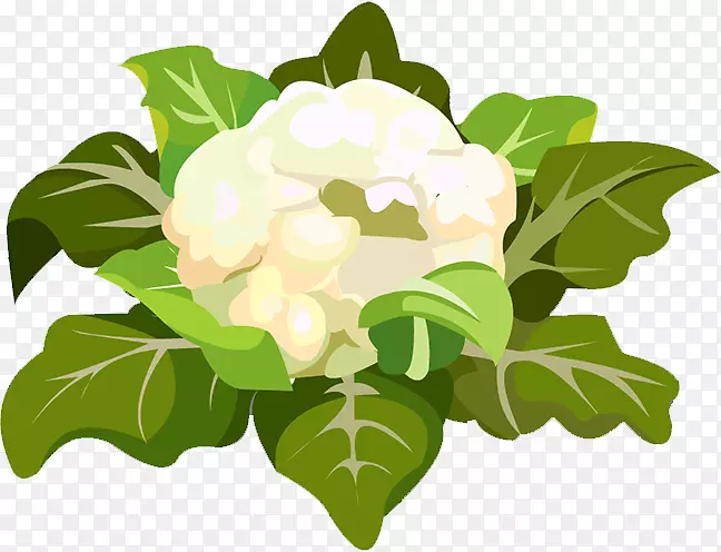 花椰菜花设计叶图标-花椰菜