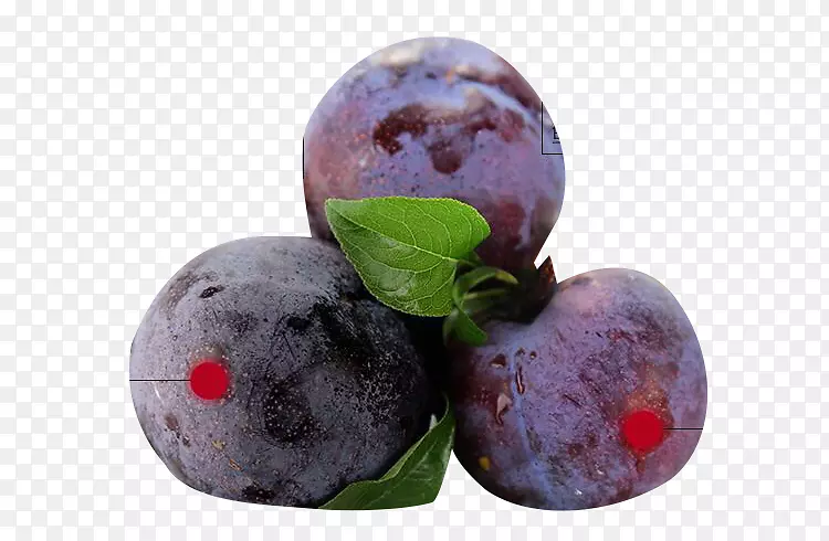 蓝莓李子-黑莓李子料