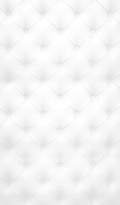iphone 4s iphone 5s装潢皮革被缝白色背景