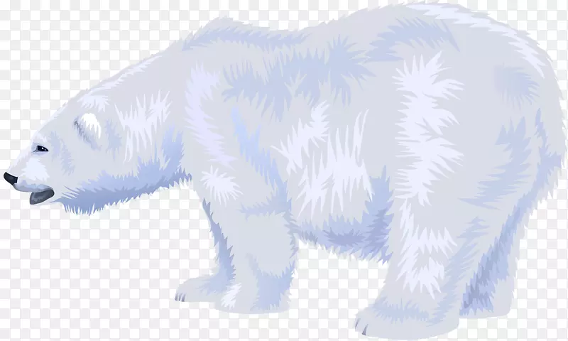 北极熊毛鼻子-白色北极熊