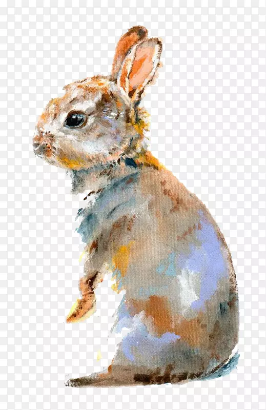 狮子头兔，家养兔虫，兔子水彩画-兔子