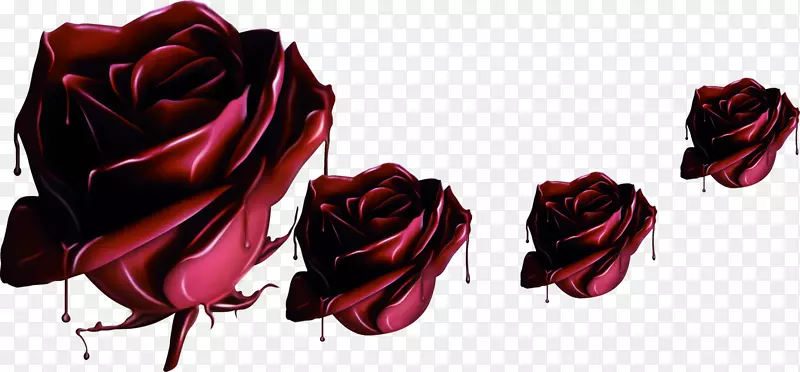 花园玫瑰海滩玫瑰巧克力花紫色神秘巧克力玫瑰