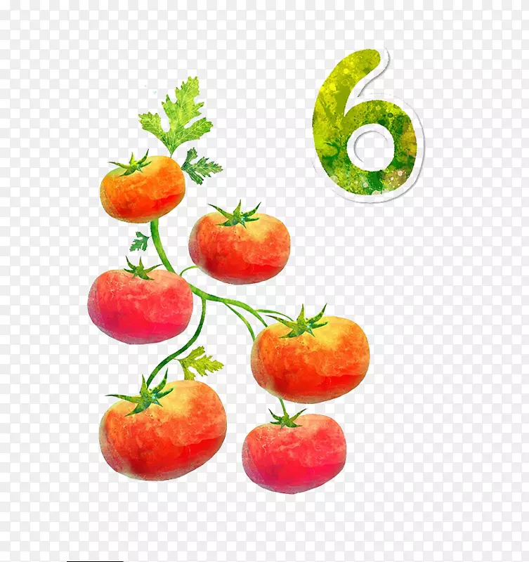 卡通番茄-6番茄