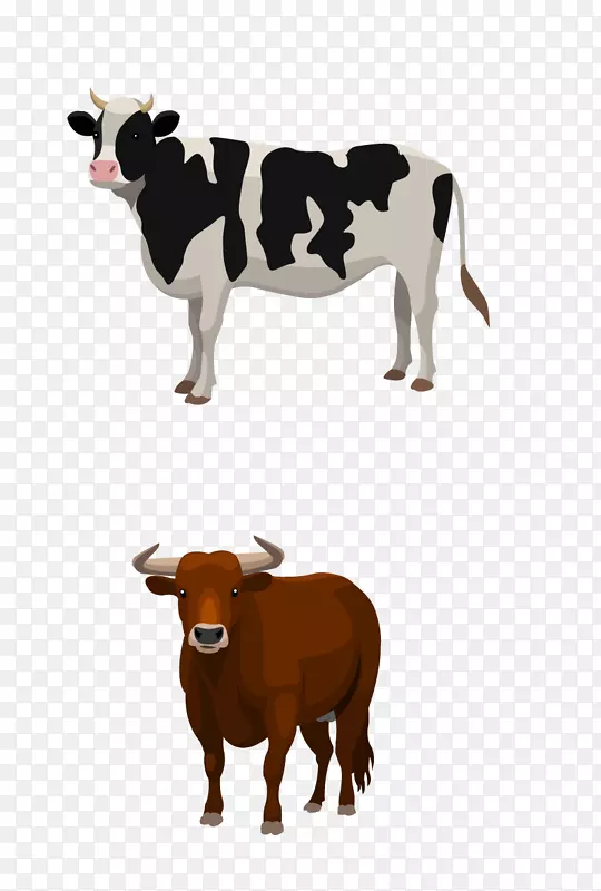 肉牛饲养场-奶牛