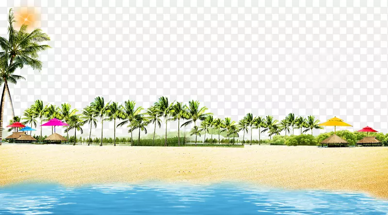 海滩海岸海报-夏季海滩椰树林游戏背景