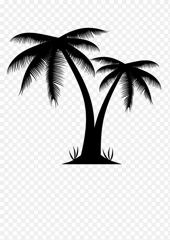槟榔科插图-棕榈树