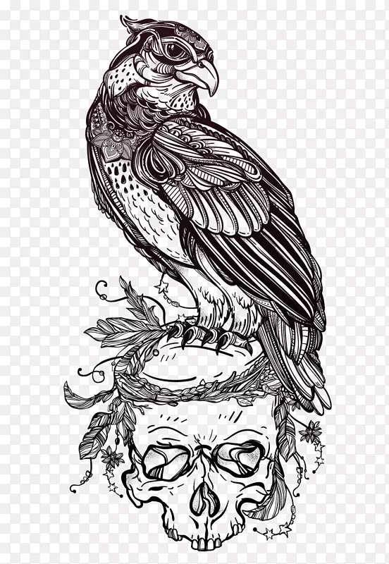 猛禽-猫头鹰画纹身.鹰头骨插画材料