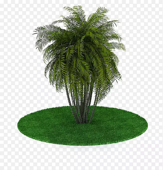 3D计算机图形三维建模树Autodesk 3ds max下载-棕榈树