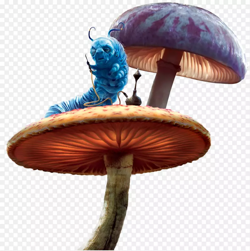 爱丽丝在仙境中的冒险-童话蘑菇
