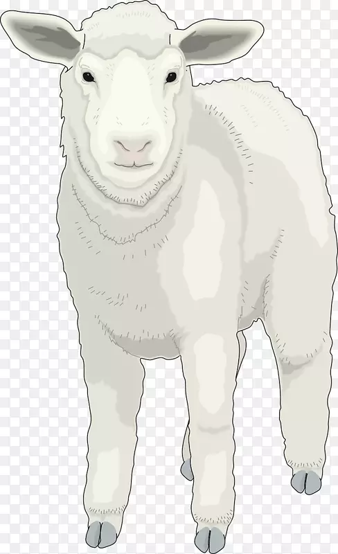 羊剪艺术-毛茸茸的小绵羊