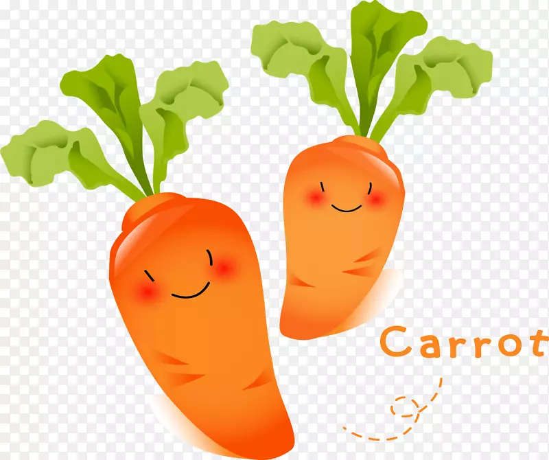 胡萝卜蔬菜萝卜食品水果胡萝卜
