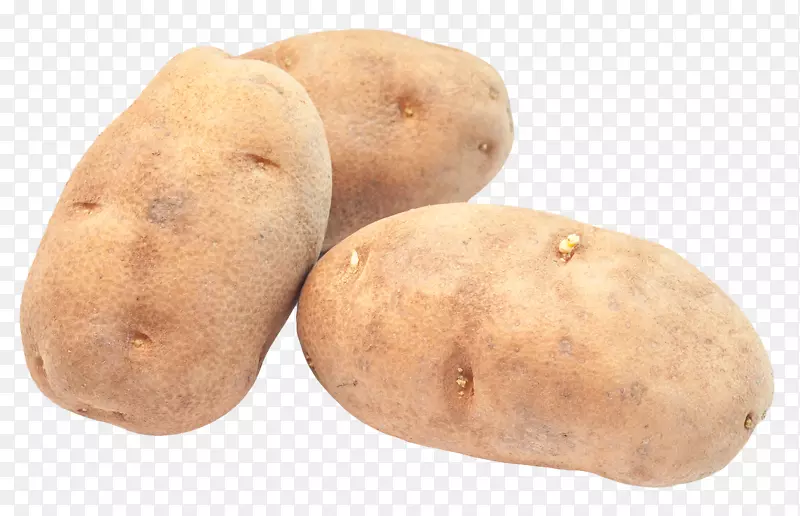 鲁塞特伯班克育空金土豆-马铃薯