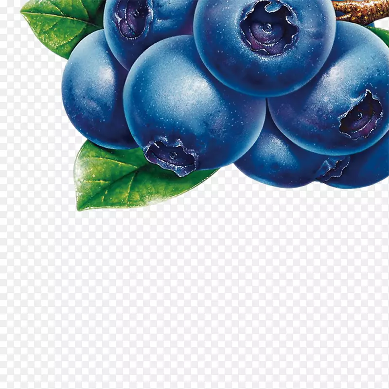 蓝莓汁越橘果夹艺术-蓝莓