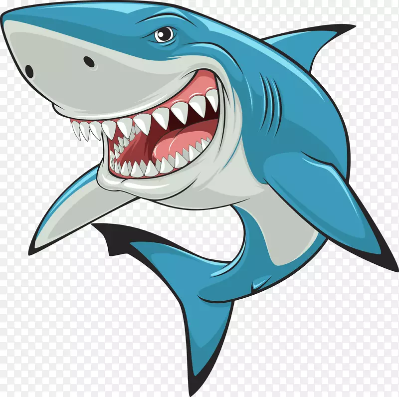 锤头鲨-大白鲨剪贴画-鲨鱼