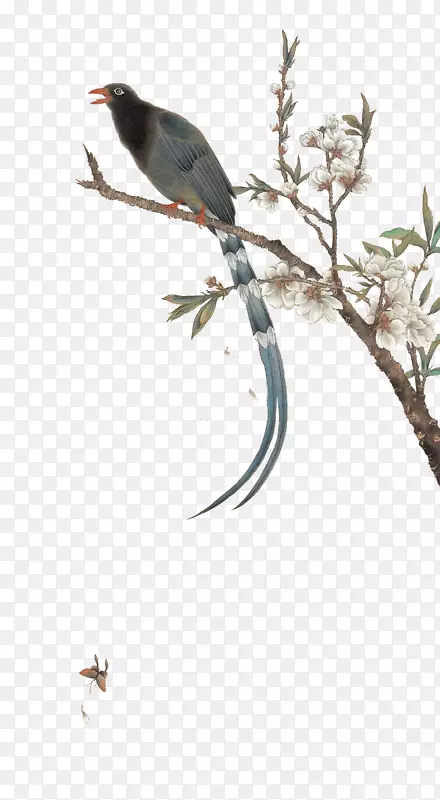 南京艺术大学宜兴书画工作室鸟类服装童树鸣叫鸟