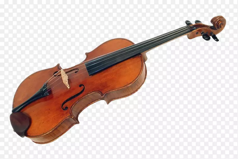 低音小提琴乐器-美丽的小提琴