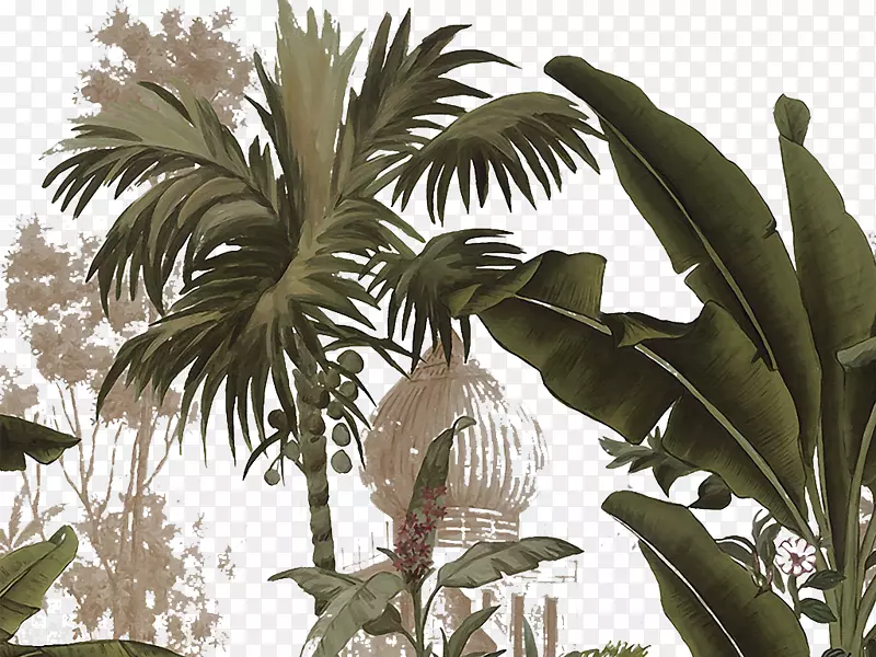 南田槟榔科热带植物-手绘热带棕榈树