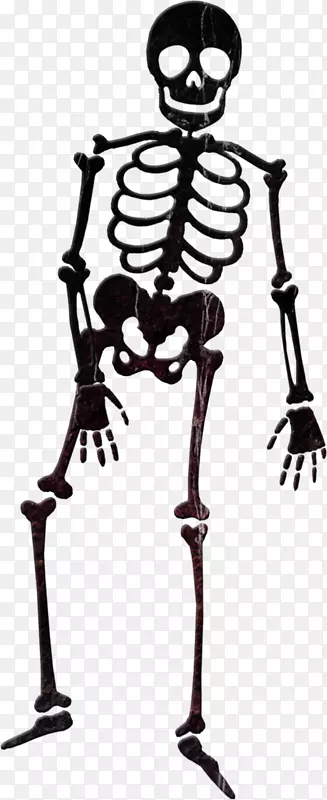 人类骨骼头骨-黑色头骨