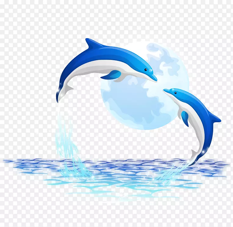 海洋海豚-海豚